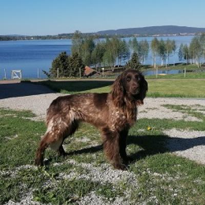 Bella2021f